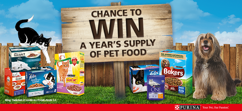 original_Win-Purina-Pet-Food-SHORTSTACK.png